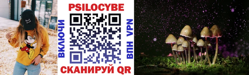МЕГА маркетплейс продажа наркотиков Хвалынск Галлюциногенные грибы Psilocybine cubensis